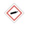 Nevs GHS Pictogram Label - Compressed Gas 4" x 4" GHS-44-CG - alternate 1